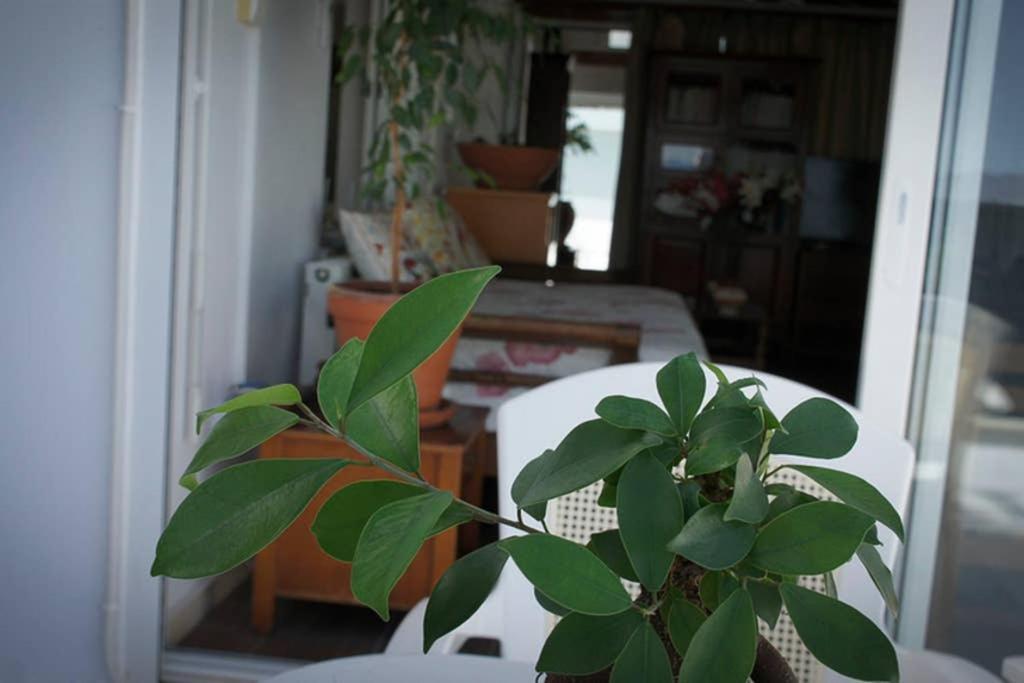 Stavros Amazing Apartment In The Centre Of Kos Ngoại thất bức ảnh