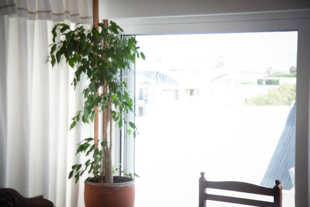 Stavros Amazing Apartment In The Centre Of Kos Ngoại thất bức ảnh